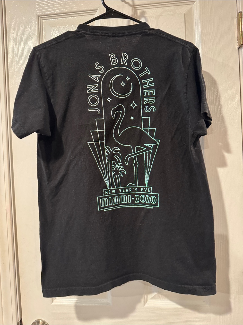 RARE! Jonas Brothers Miami 2020 Flamingo Graphic Tee - Black & Mint